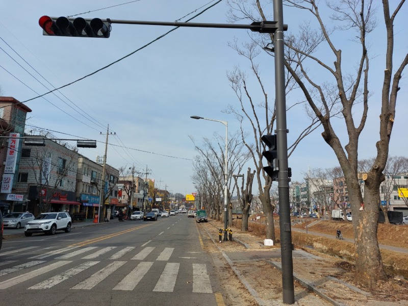 가로수 가지치기공사 (5).jpg